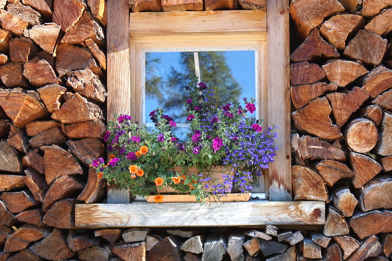 Image - holzstapel window stock firewood