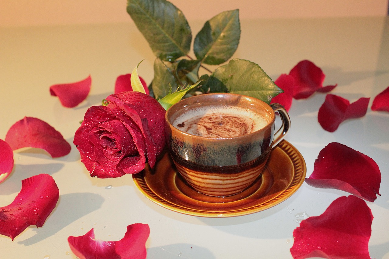 Image - rose coffee cup foam drink petals