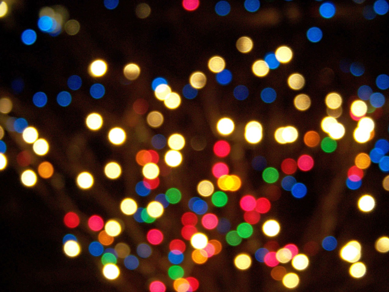 Image - christmas lights focus xmas