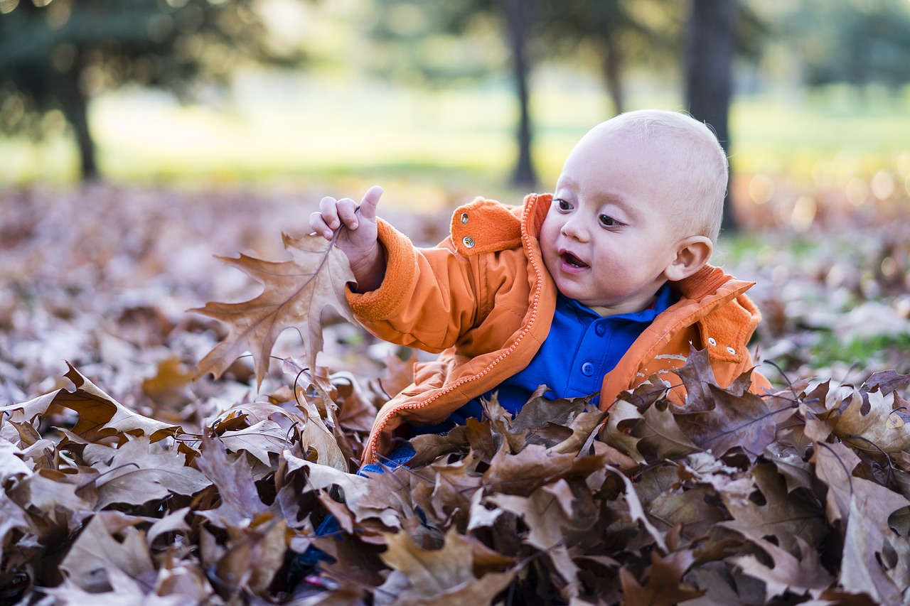 Image - child forest playing dry leaves