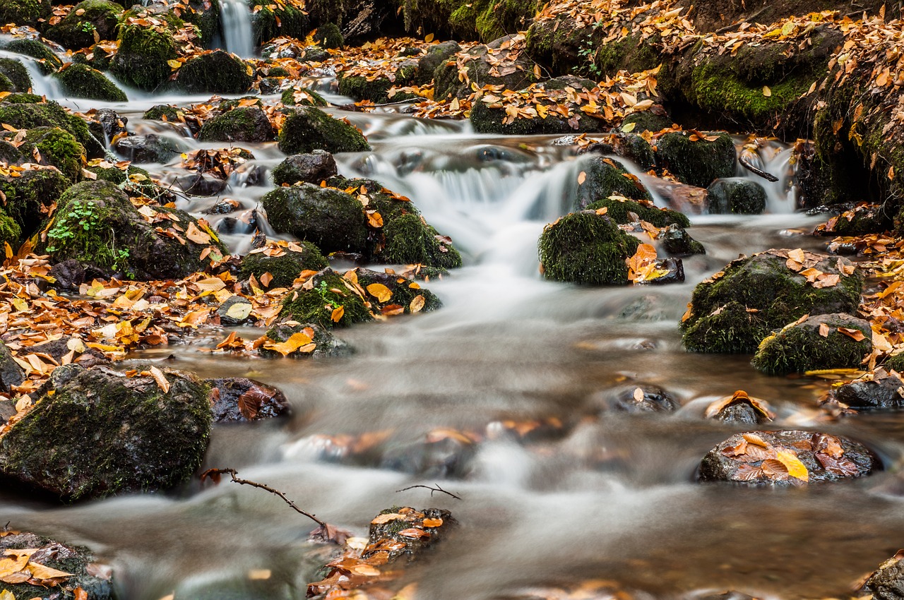 Image - forest river kennedy waterfall