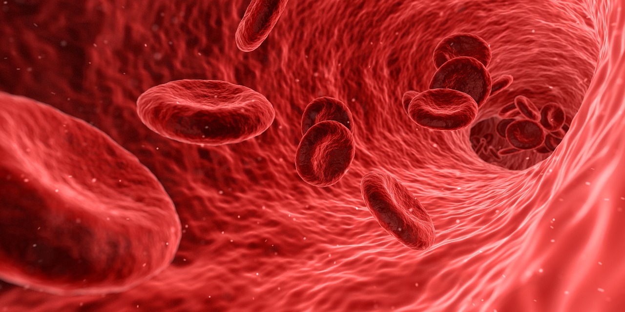 Image - blood cells red medical medicine