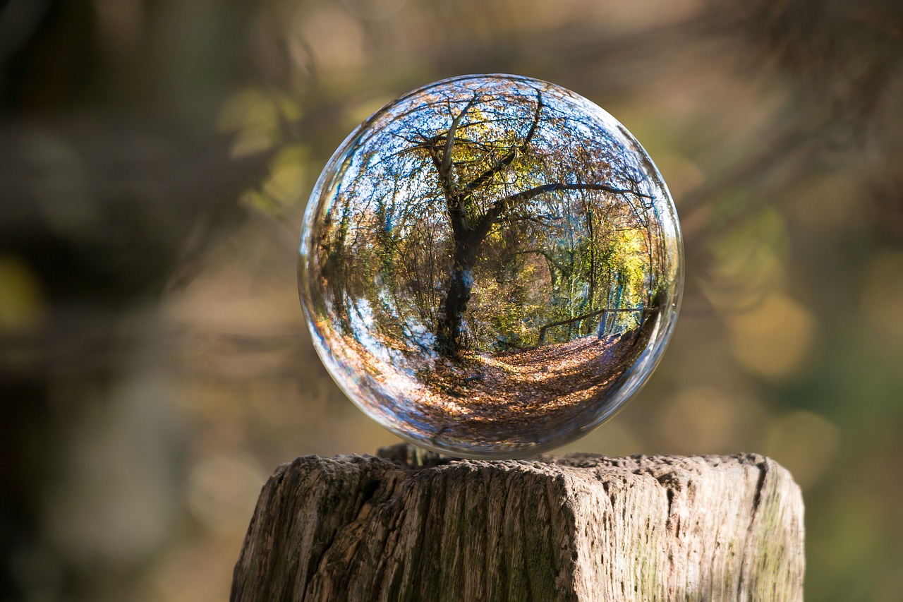 Image - glass ball autumn tree gnarled