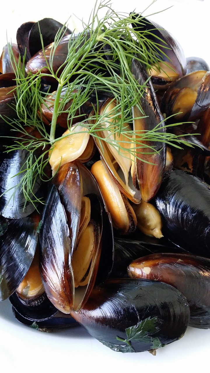 Image - abalone myuzle seafood cafeteria