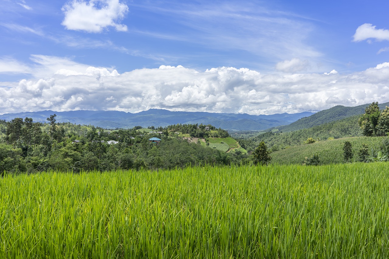 Image - land farm forest green agriculture