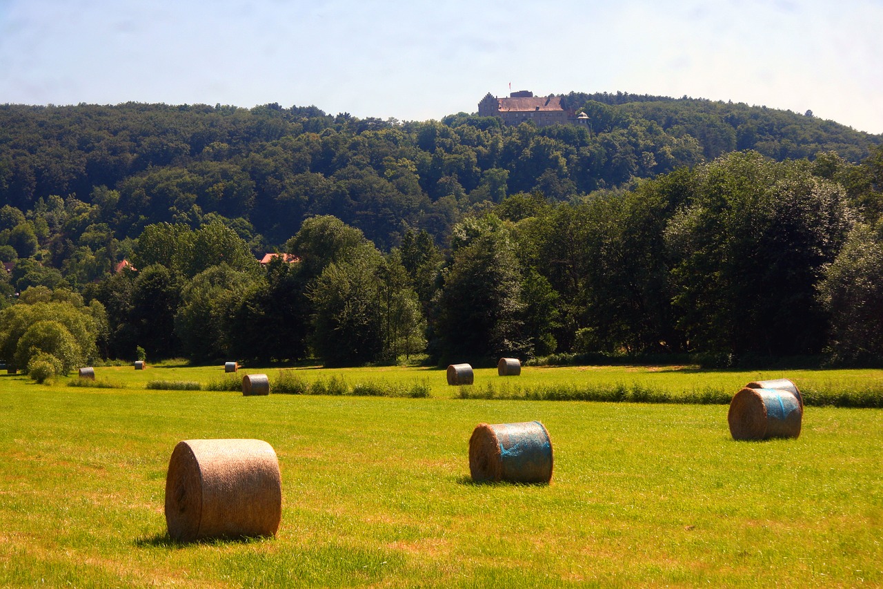 Image - spring hay hay bales round bales