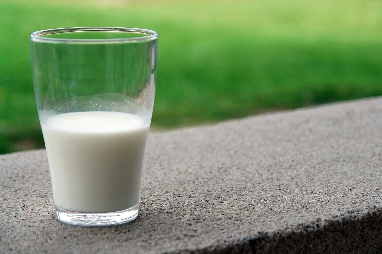 Image - drink white milk goat milk product