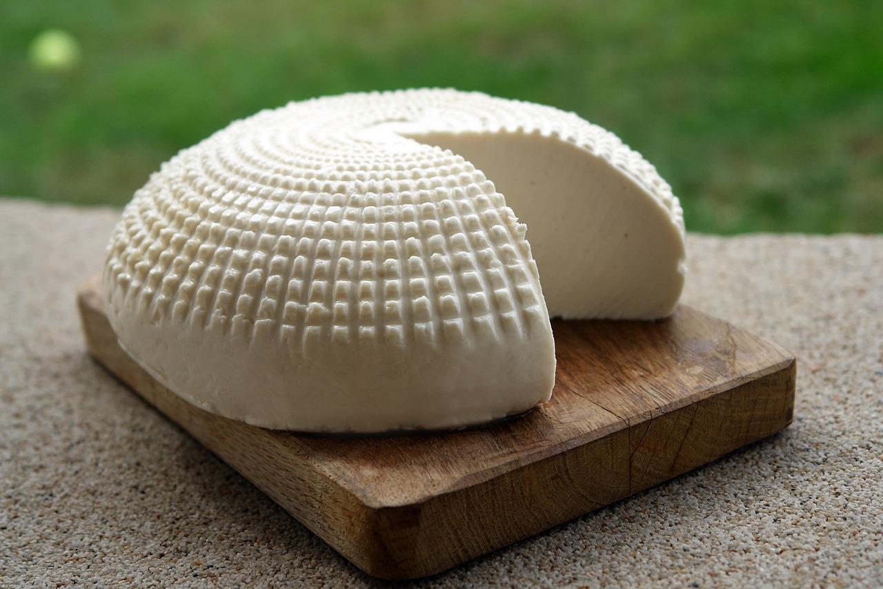 Image - goat milk product cheese food milk