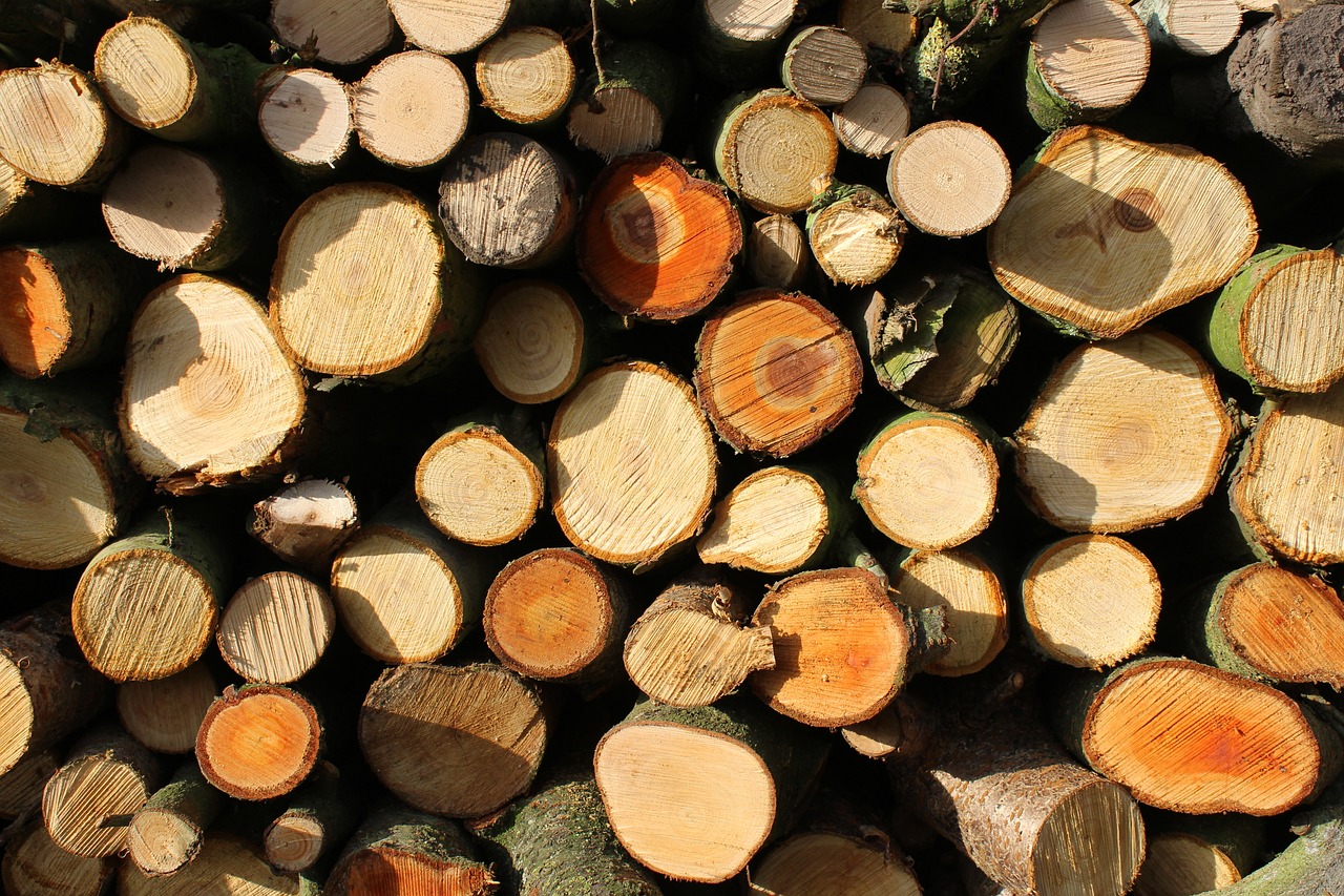 Image - wood firewood tree timber natural