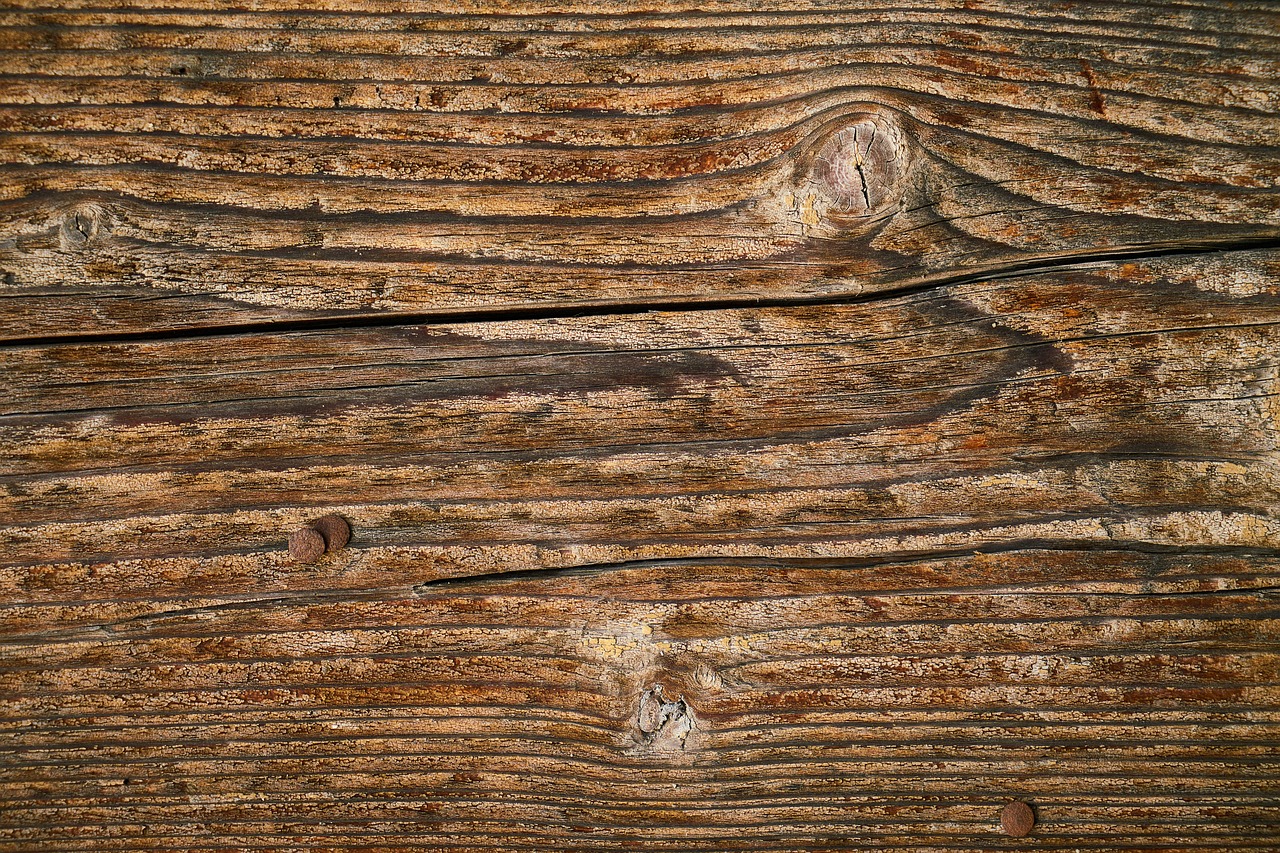 Image - wood texture background timber