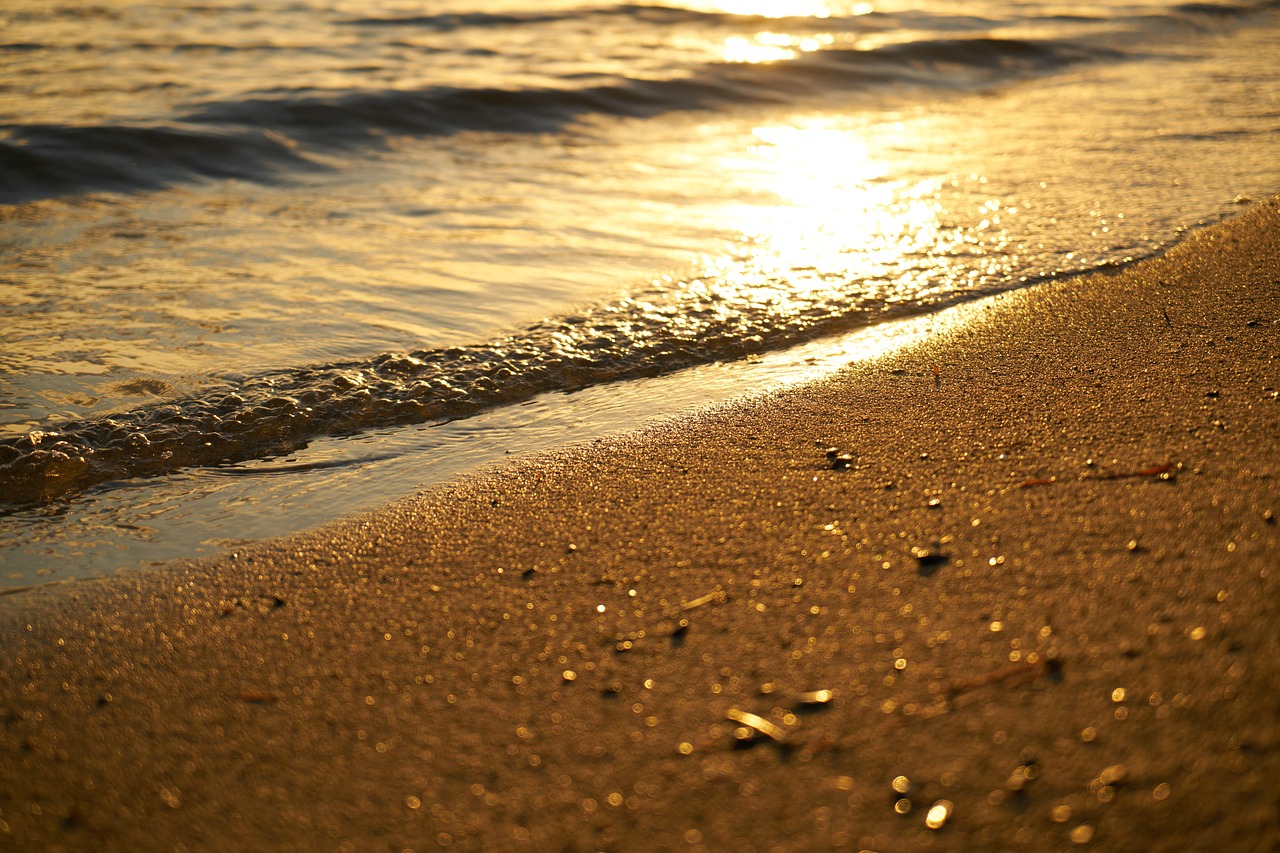 Image - background nature beauty beautiful