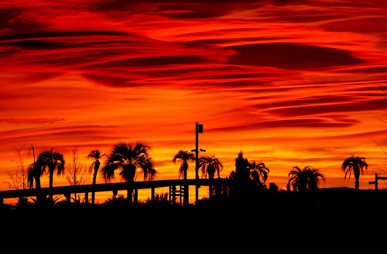 Image - landscape palms fire sky sunset