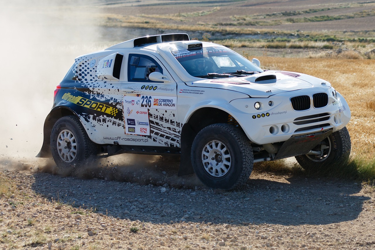 Image - bmw aragon rally low argon car