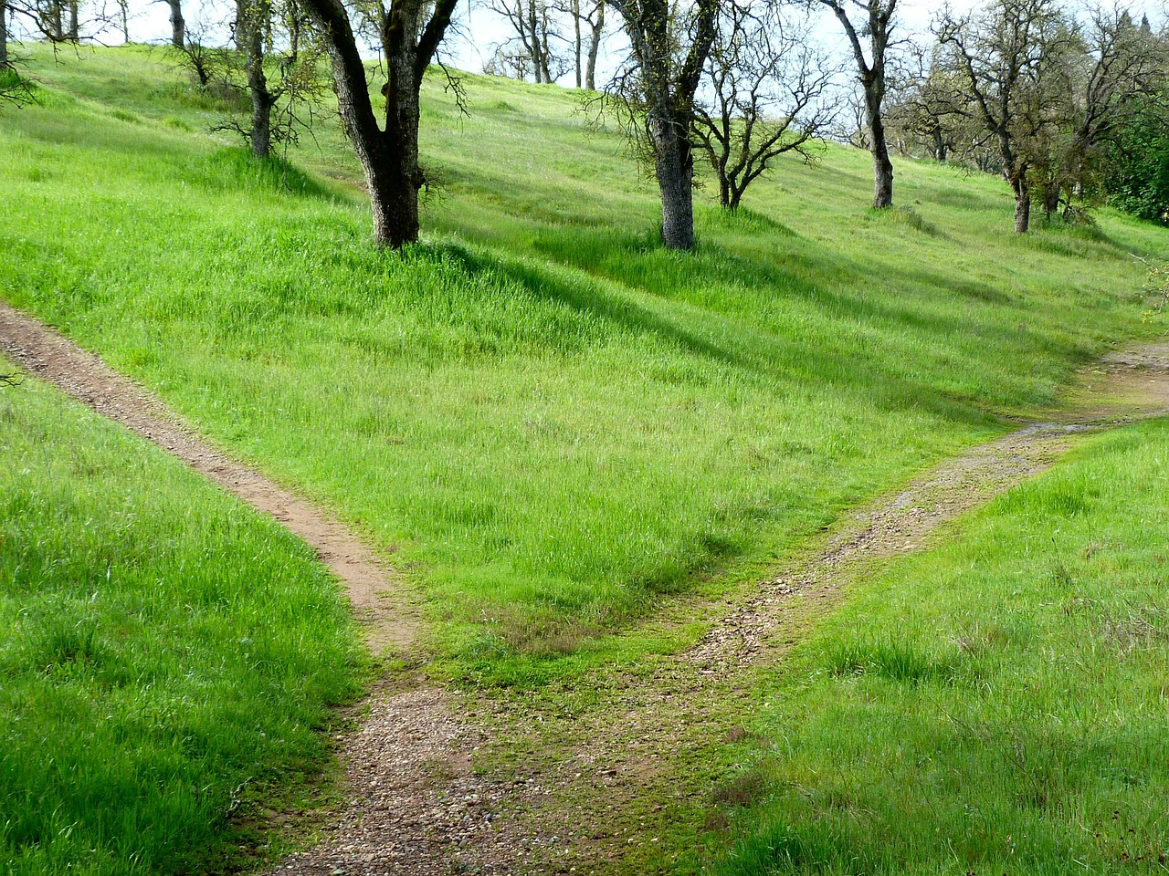 Image - path hiking trail grass travel
