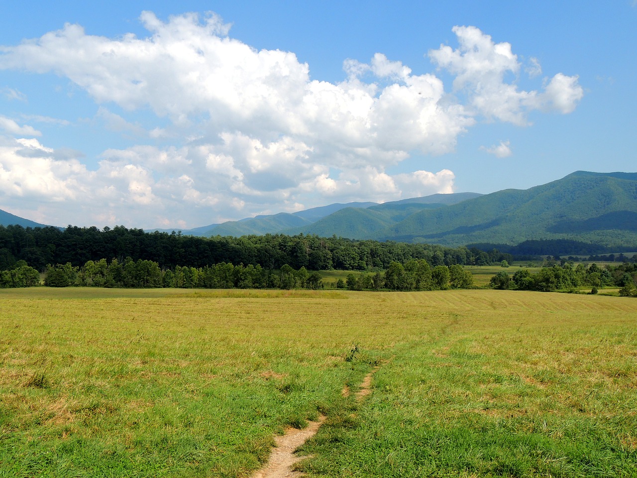 Image - path way mountain blue sky travel