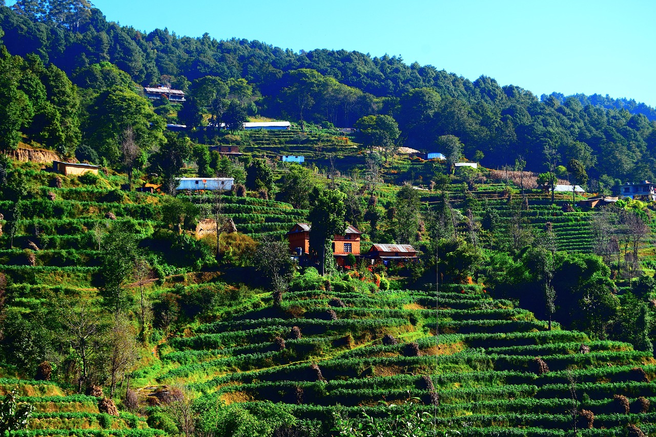 Image - village greenery landscape