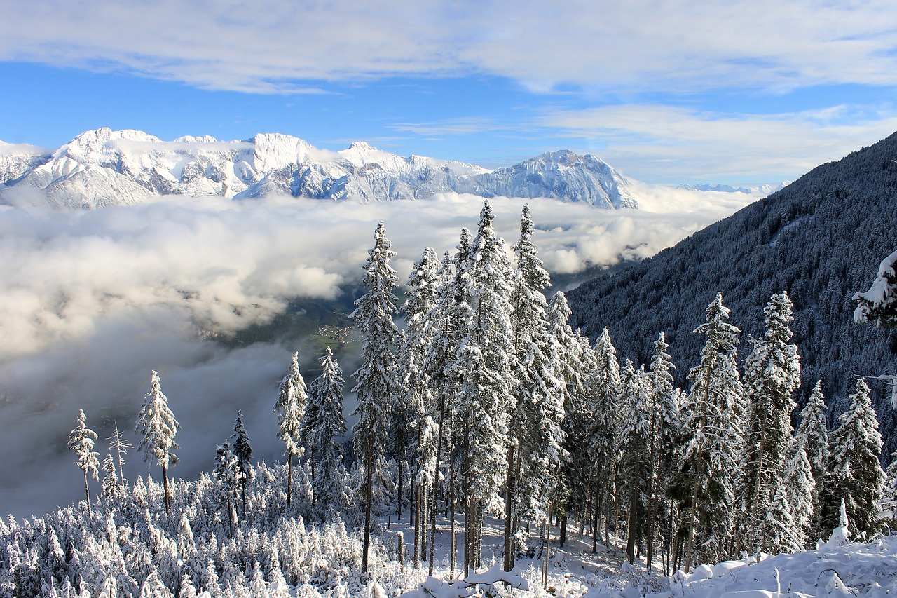 Image - snowy landscape winter landscape