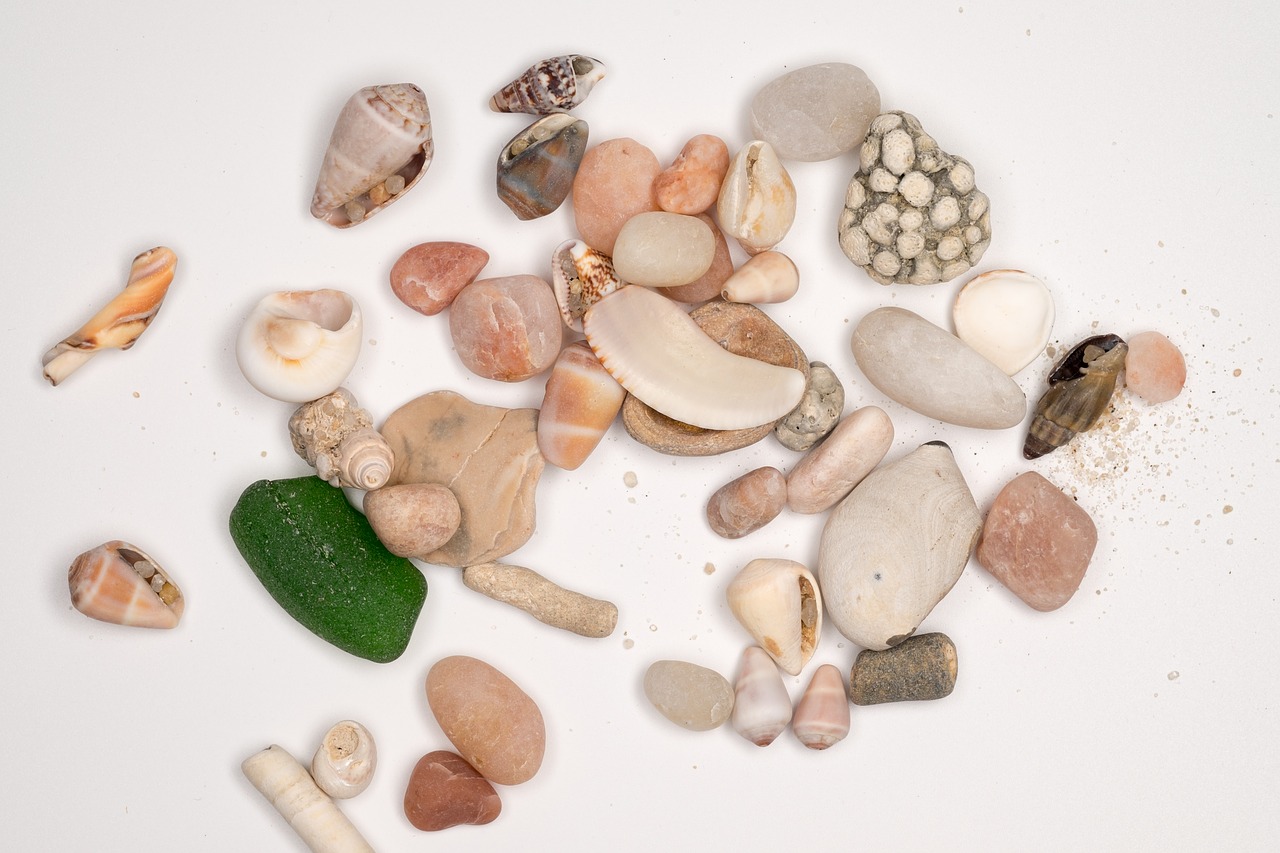 Image - stones sea ​​stones sea shell