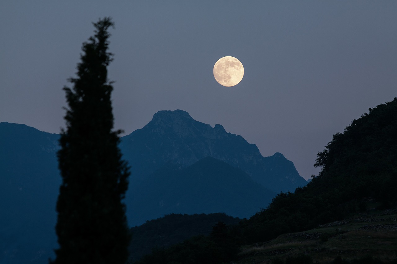 Image - moon cypress mountains moonrise