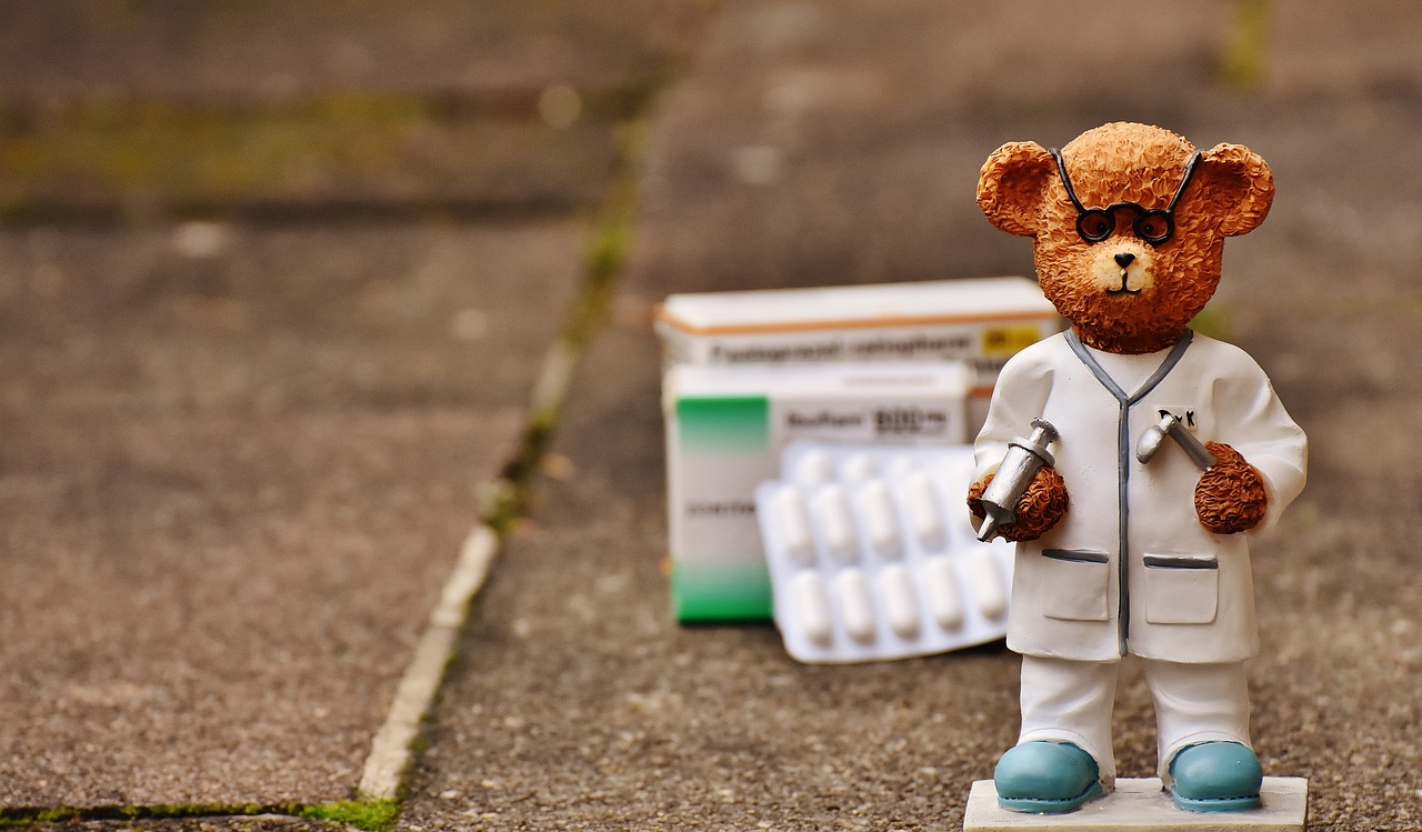 Image - bear profession doctor figure cute