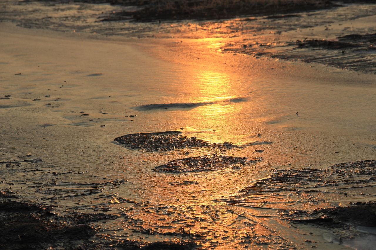 Image - ice dawn earth light cold winter