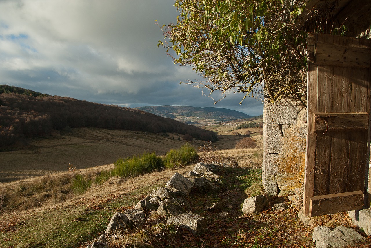 Image - france lozère pasture forest buron