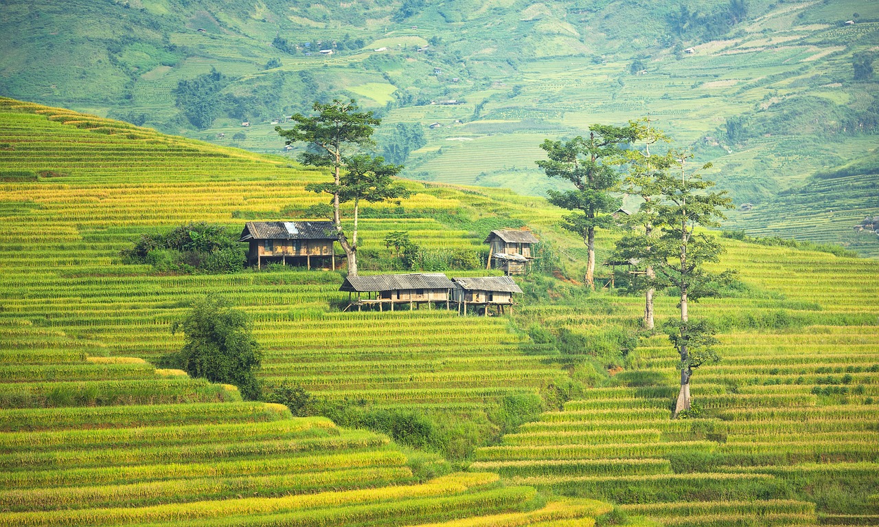 Image - golf club the village agriculture