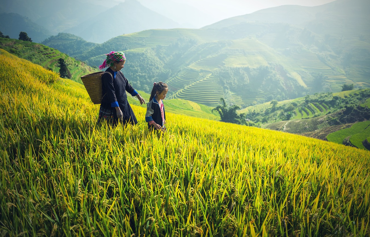 Image - agriculture asia back black