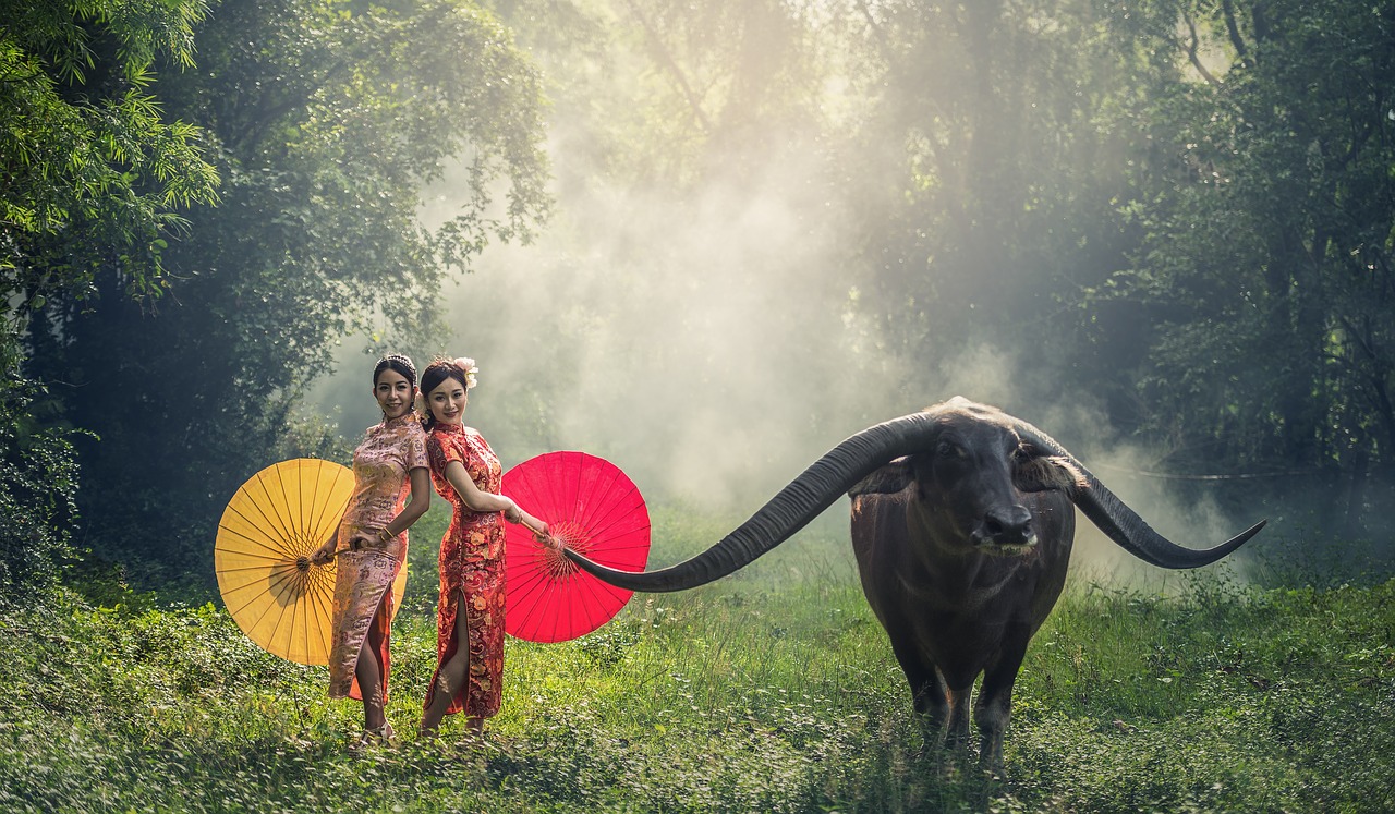 Image - lady buffalo young happy asia