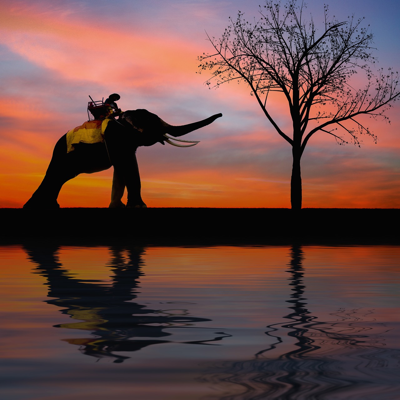 Image - silhouette elephant kids family
