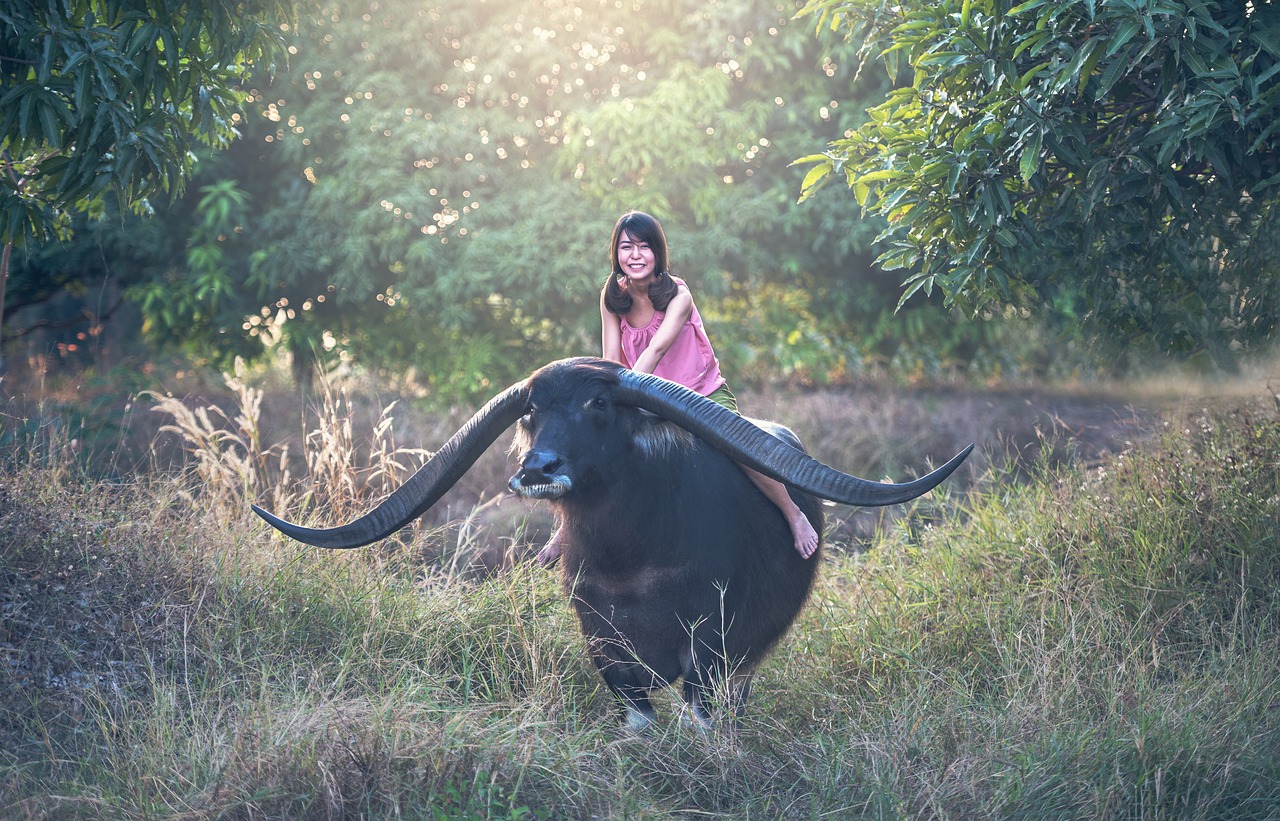 Image - buffalo girl seat mammal animals