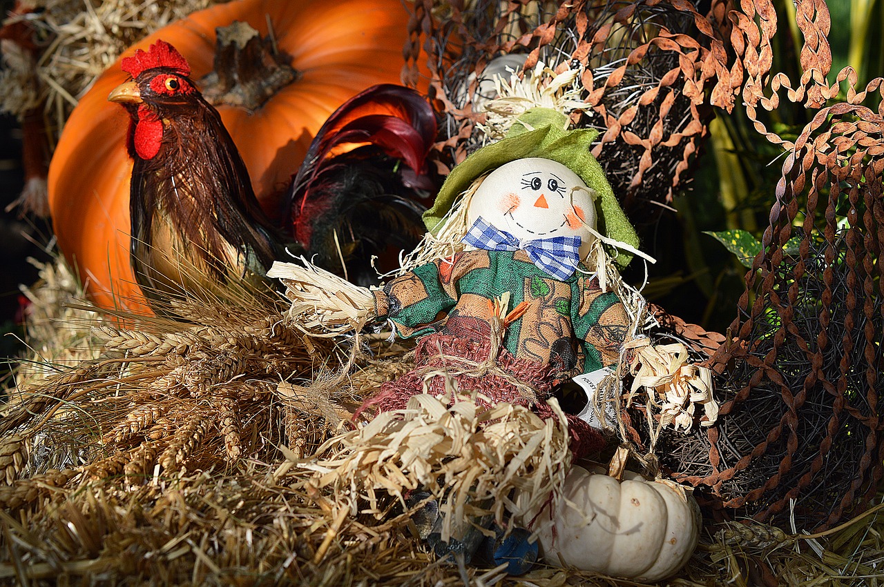 Image - scarecrow rooster hay autumn