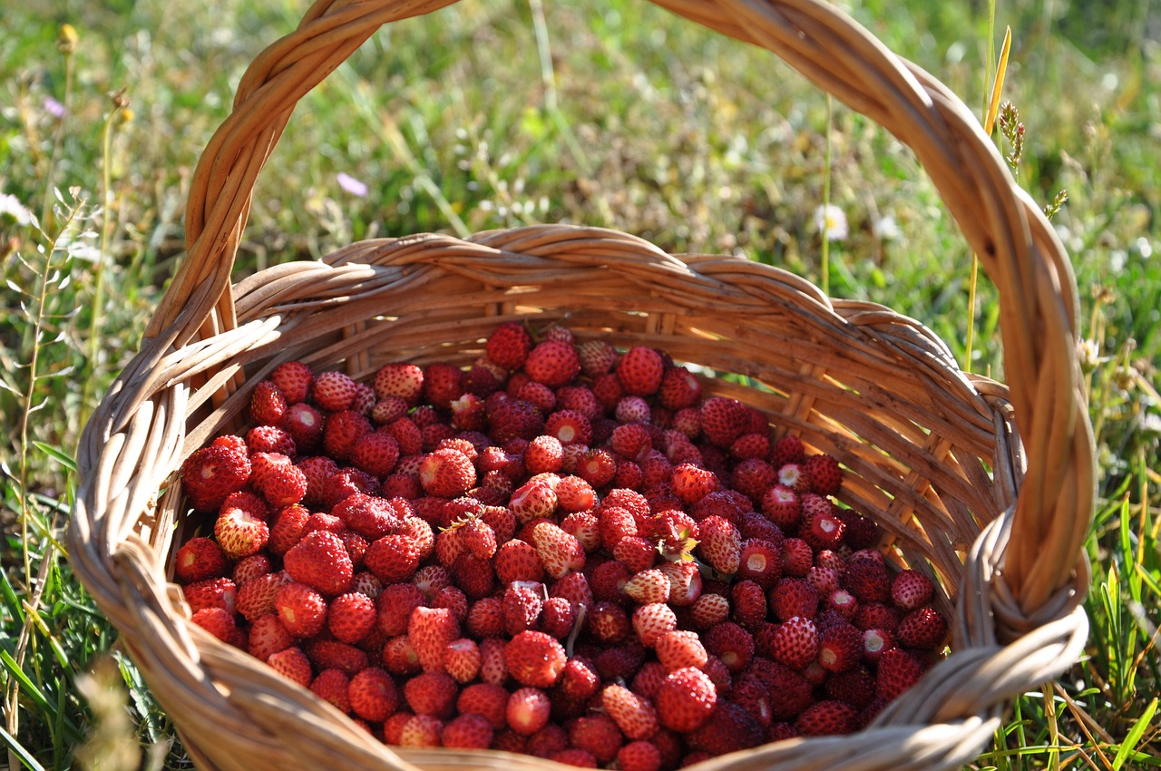 Image - strawberry basket summer forest