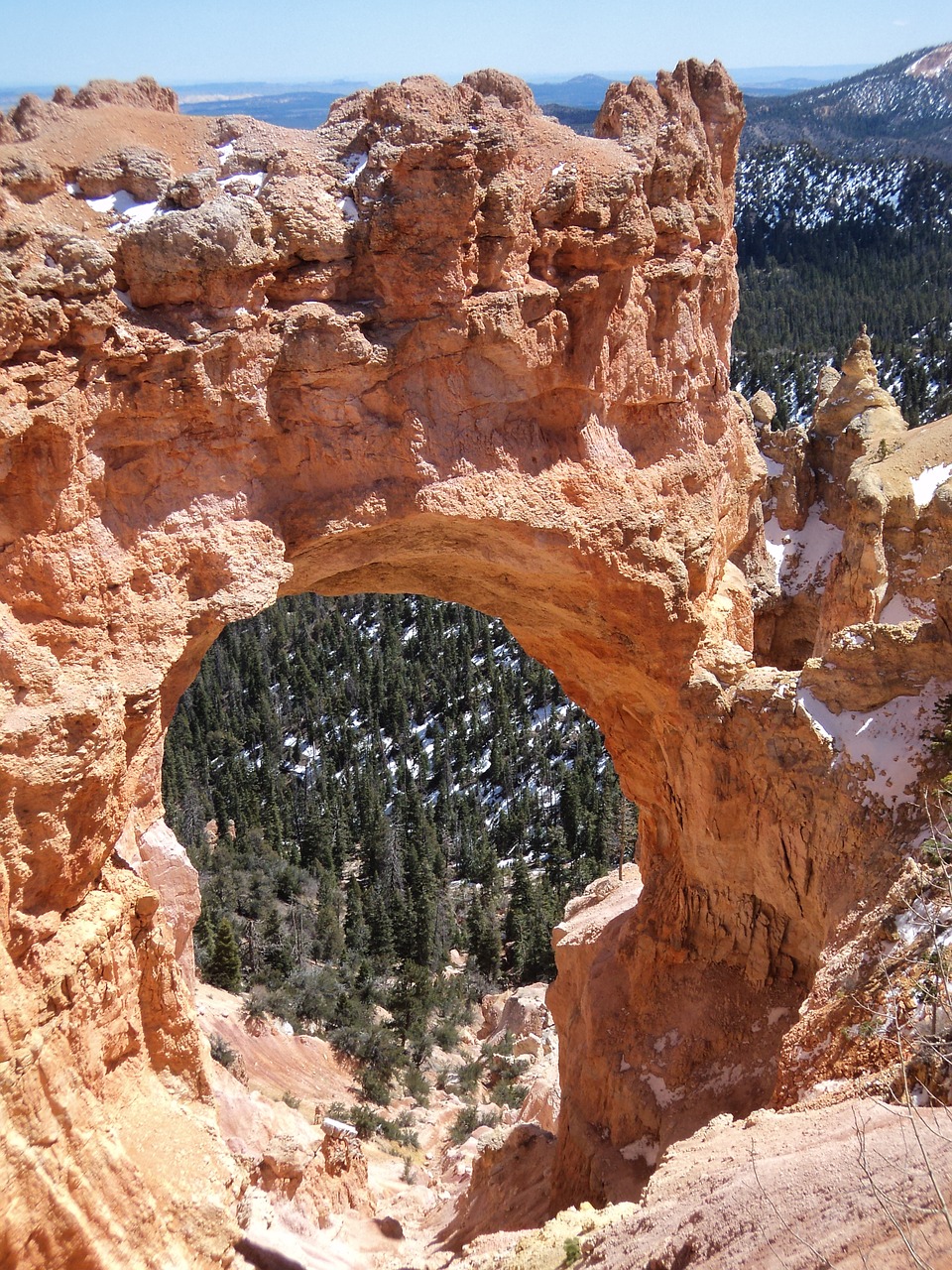 Image - bryce canyon natural bridge bryce