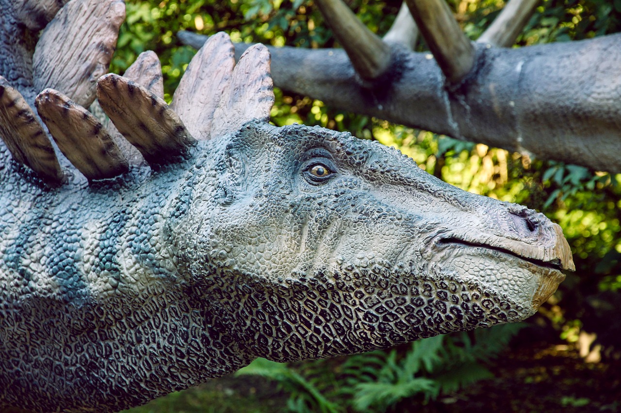 Image - dinopark dinosaur stegosaurus