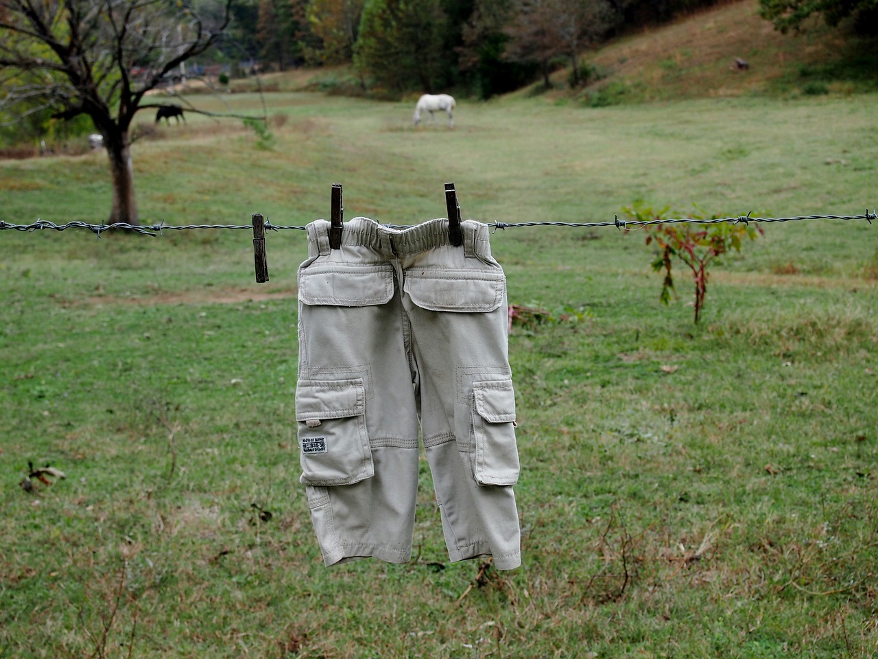 Image - country clothesline nature farm