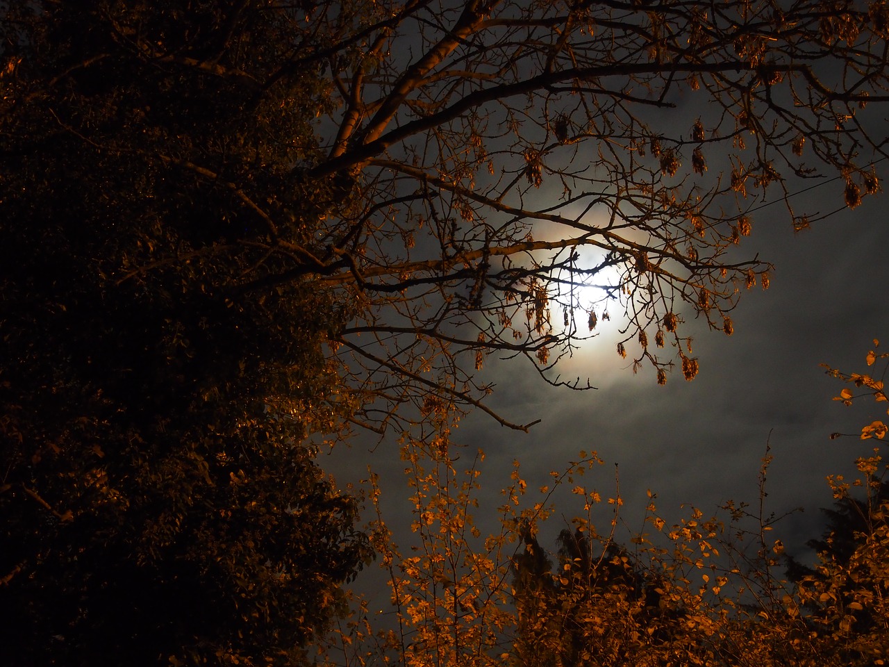 Image - super moon november 2016 supermoon