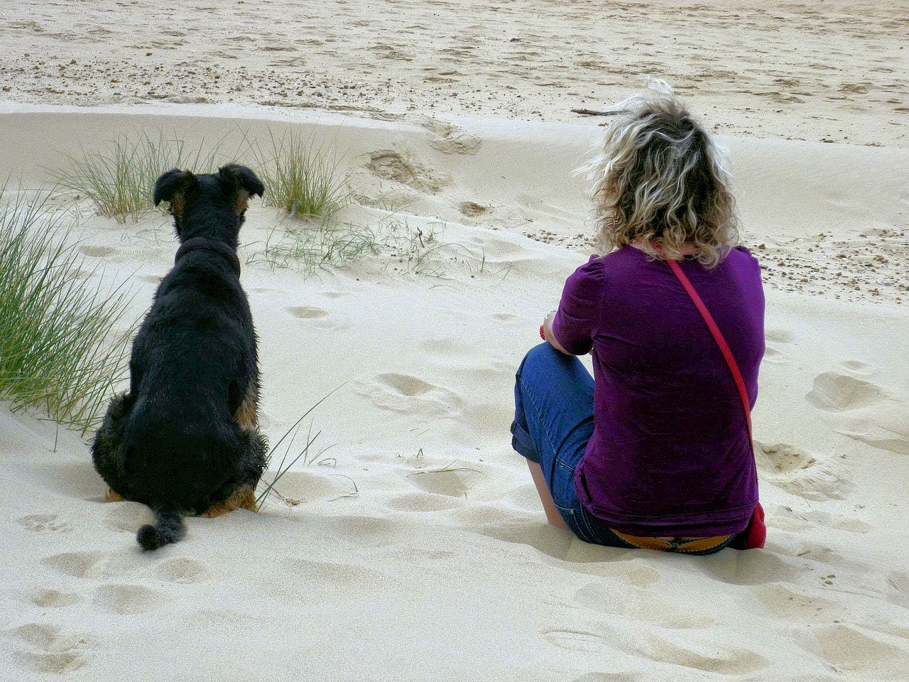 Image - woman and dog beach scene sand