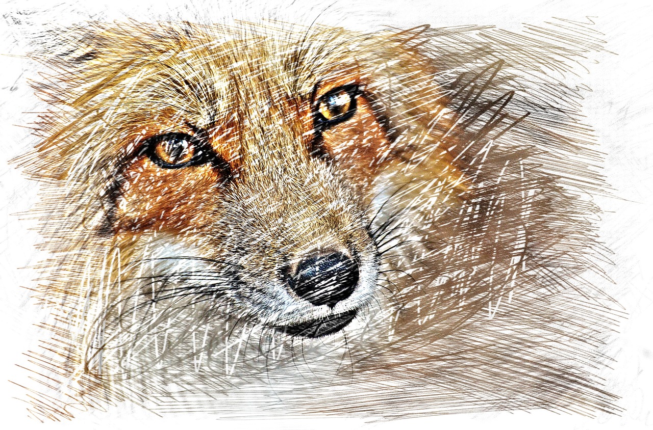 Image - fuchs drawing colorful