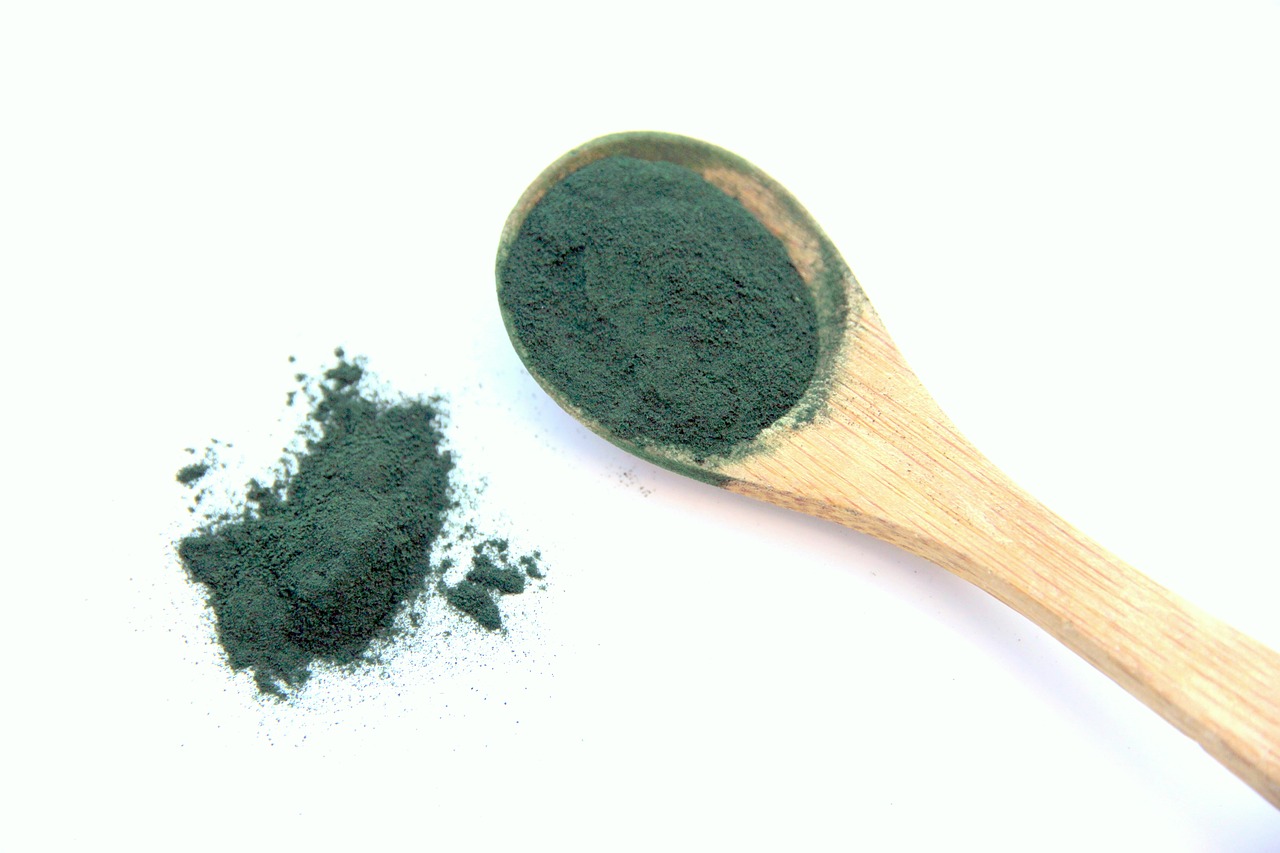 Image - spirulina alga vegetable proteins