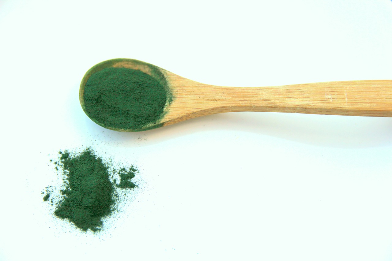 Image - spirulina alga vegetable proteins