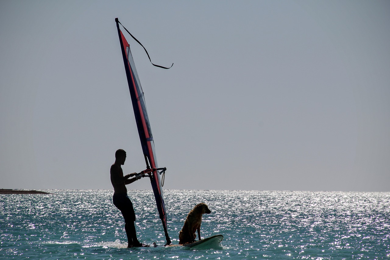 Image - water sports sail surf surfboard