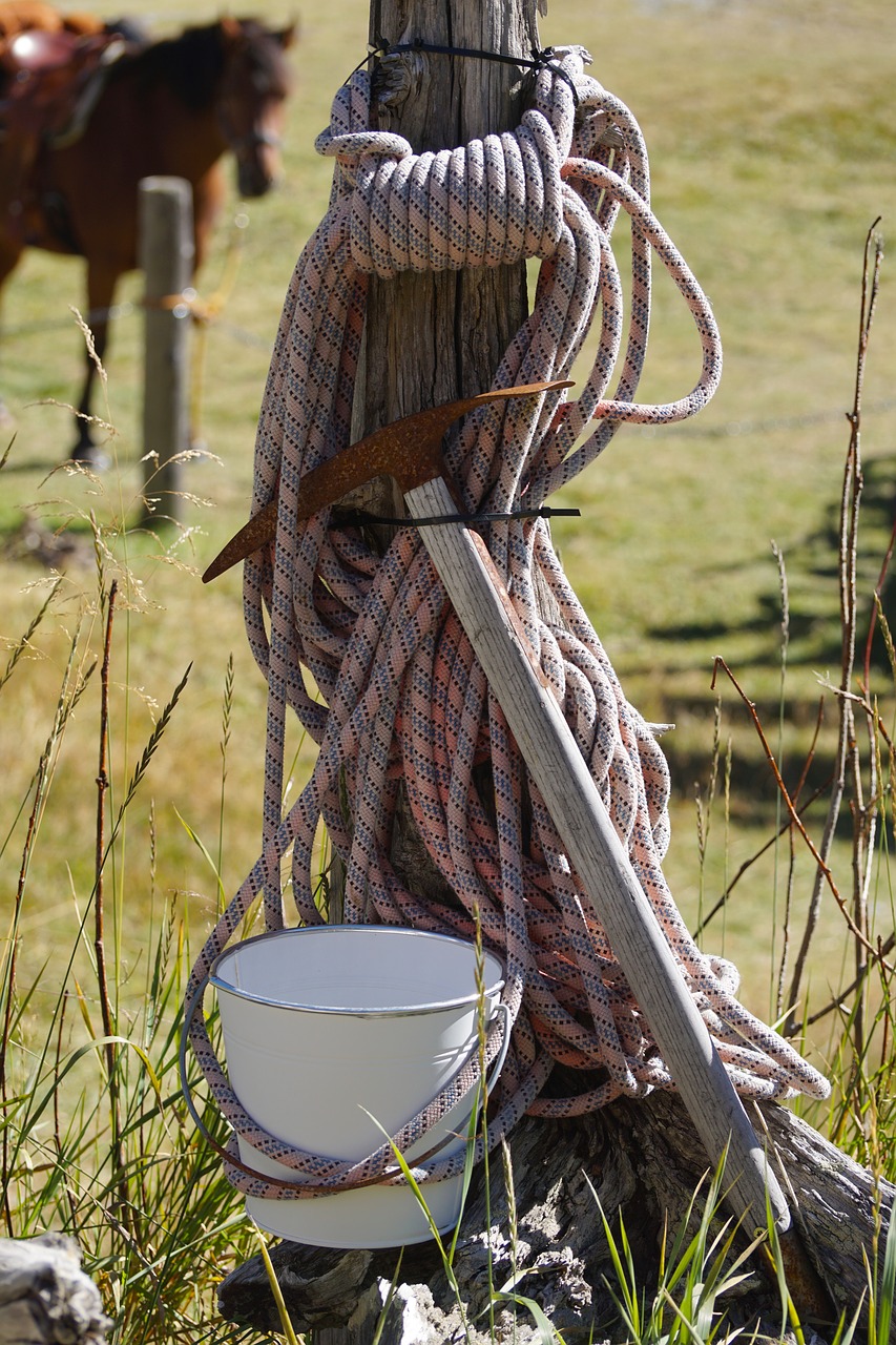 Image - migratory utensils rope pimples