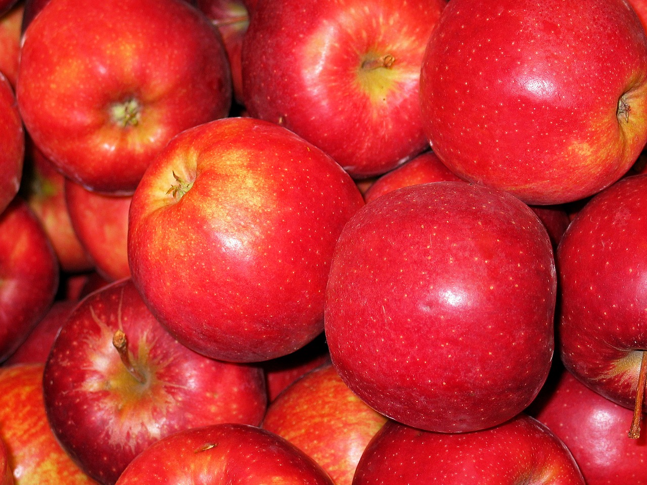 Image - chalkboard apple apple royal gala