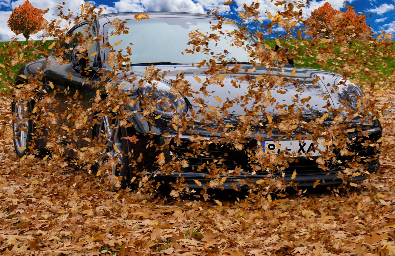 Image - autumn leaves wind forward fly