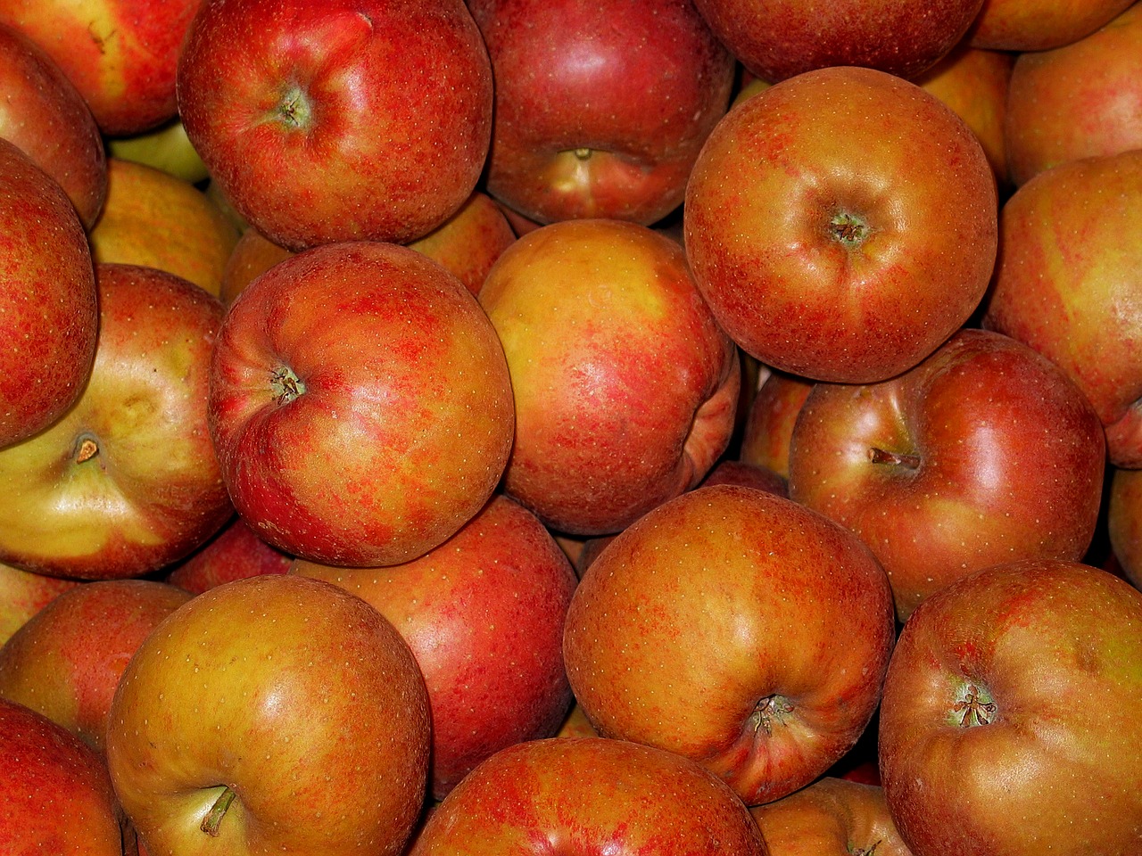 Image - chalkboard apple apple boskoop