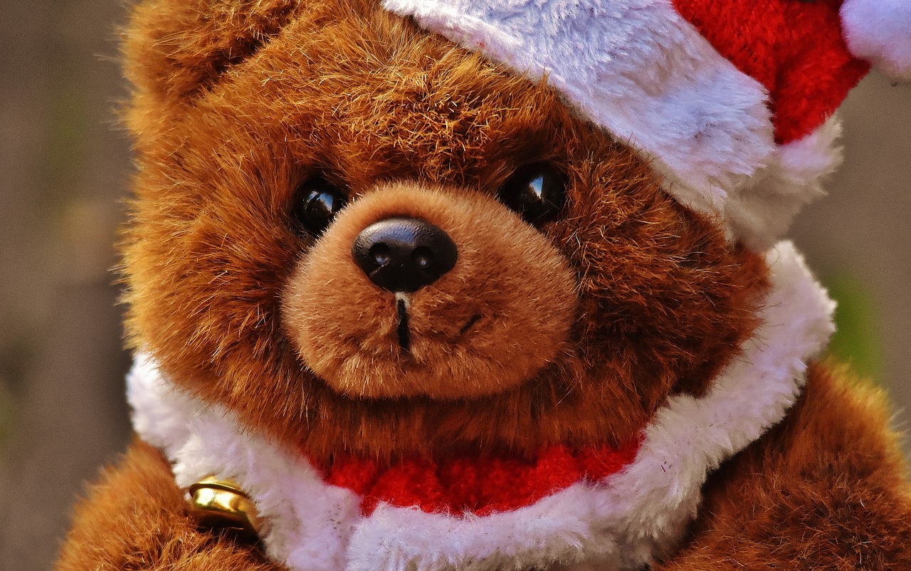 Image - christmas greeting card teddy