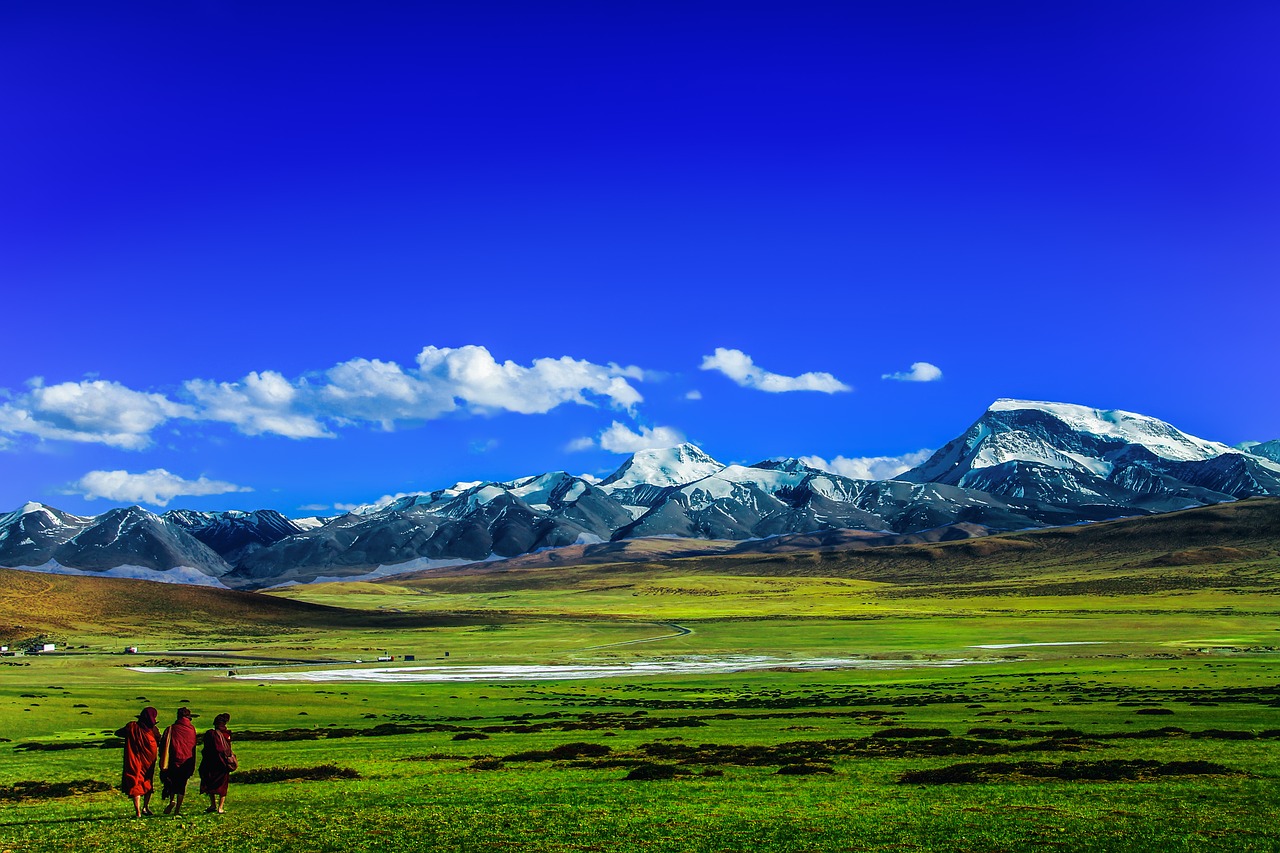 Image - theravada buddhism monks at tibet