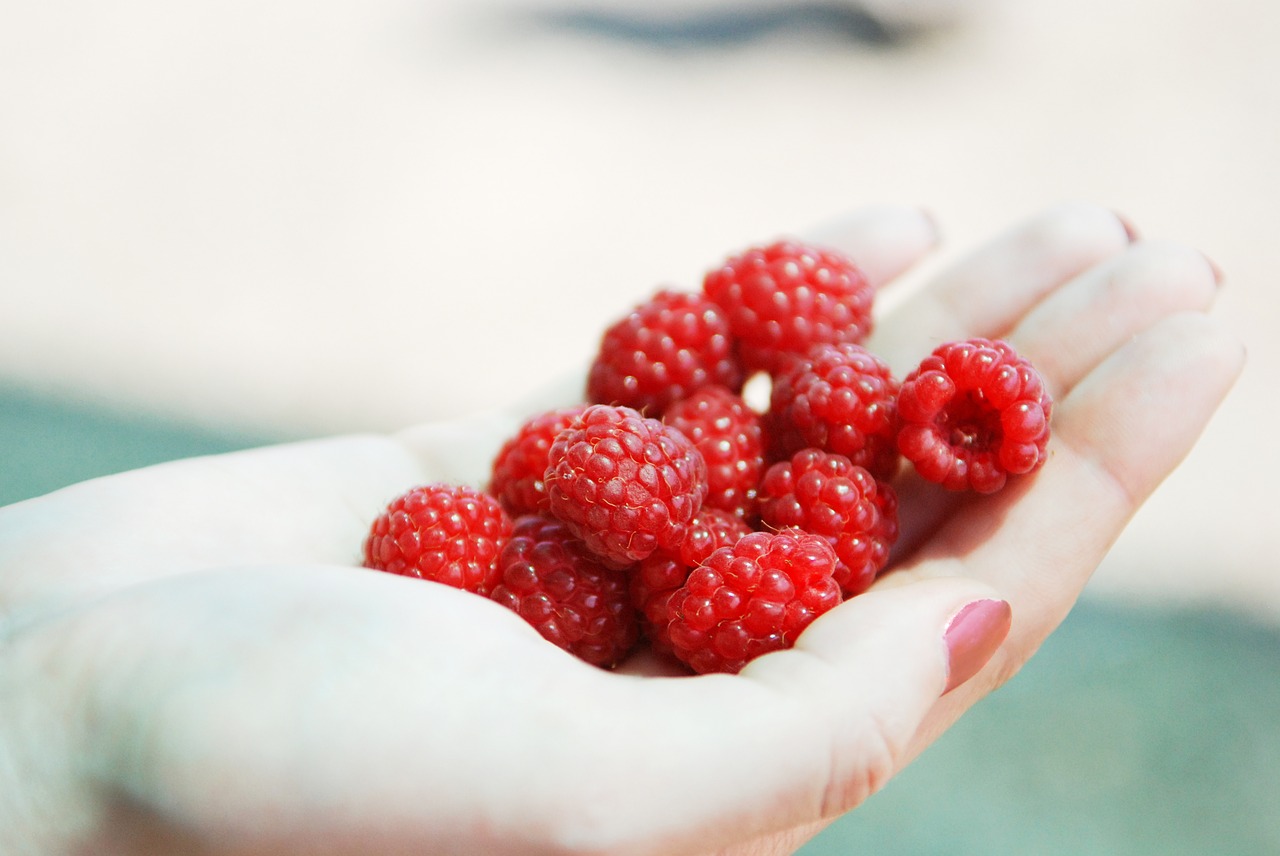 Image - raspberry berry hand color vitamin