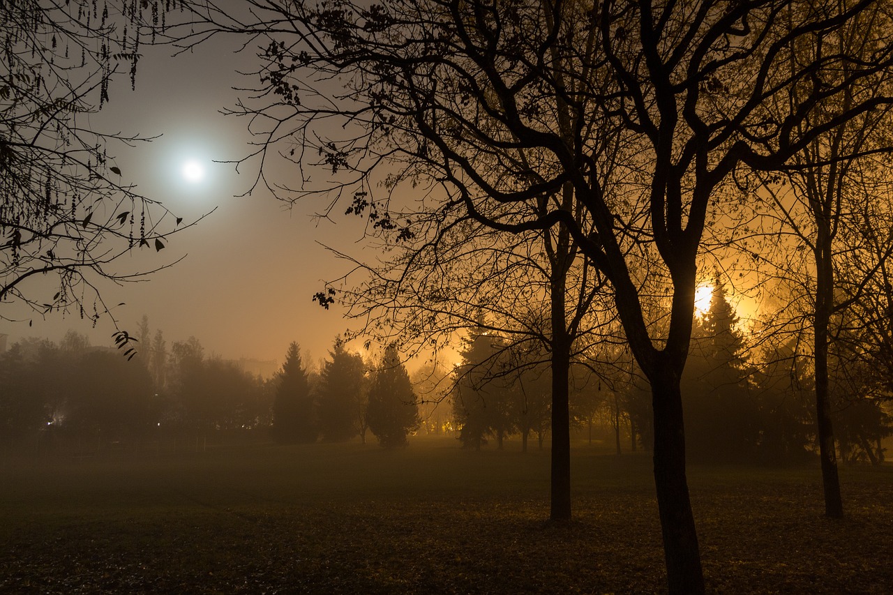 Image - autumn fog moon night lighting